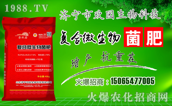 �����@���ףһ·�߁������т����w���������������