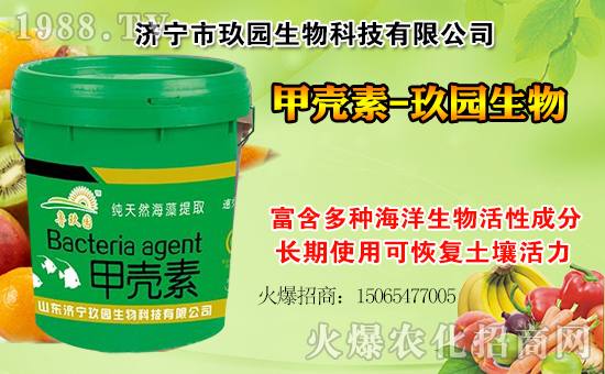 �����@���ףһ·�߁������т����w���������������