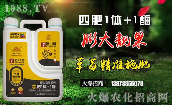 ��������ף��һ·�������т����µ�һ�����Ҹ����M���H�Қg����