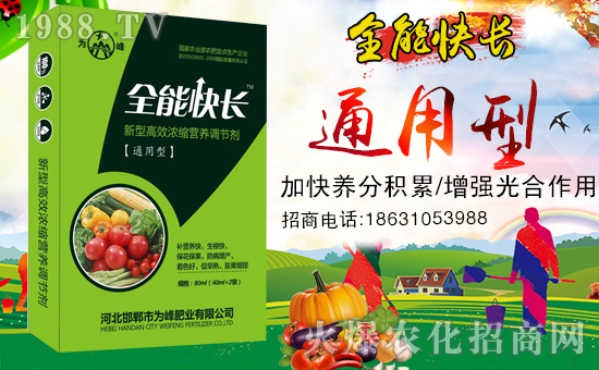 �����ʘI(y��)��ף������µ�һ����ؔԴ�L�L����