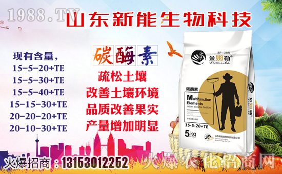 ���������ף�������옷���f��������