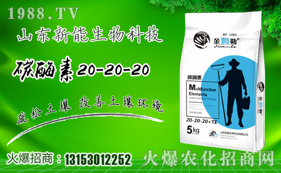 ���������ף�������옷���f�����⣡