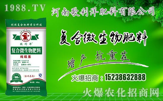 �����ϸ�����ף������µ�һ���﹤�����������������