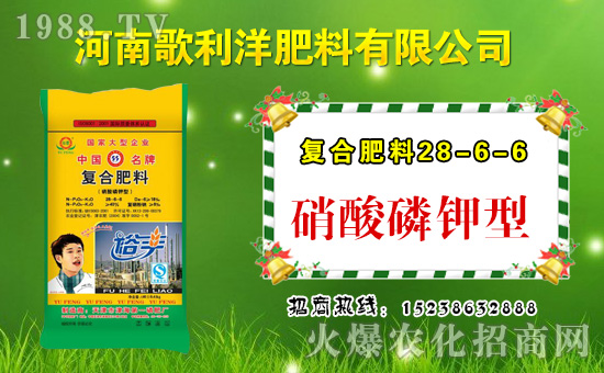 �����ϸ�����ף������µ�һ���﹤�����������������