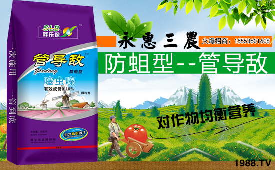 ���������r(n��ng)��ףȫ�����ѹ�������f�����⣡