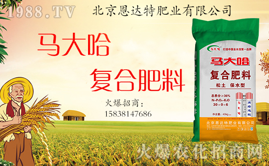 �����_(d��)�طʘI(y��)��ף���g�gϲϲӭ�������f(w��n)������ƽ������