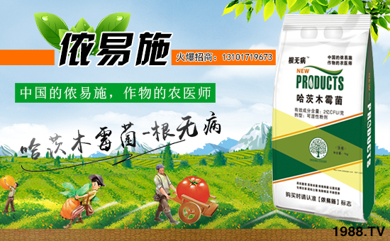 ���Ї����z��ʩ��ȫ�w�T����ף�V������͑�����옷���f�����⣡