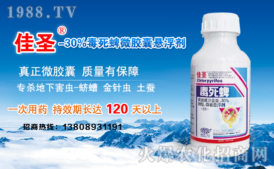 ����(j��)�σ|���r(n��ng)�I(y��)��ףȫ���������µ�һ�����Ҹ����M���H�Қg����