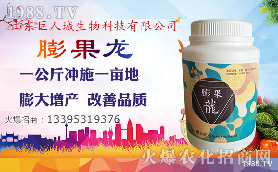 �����˳����ȫ�w�T��ף��Ҽ���l(f��)ؔ(c��i)�������³���