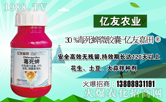 ����(j��)�σ|���r(n��ng)�I(y��)��ףȫ���������µ�һ�����Ҹ����M���H�Қg����