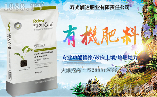 �����_�ʘI(y��)��ף������µ�һ���﹤�����������������