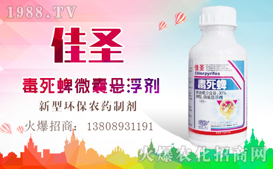 ���|���r(n��ng)�I(y��)��ף������µ�һ���﹤�����������������