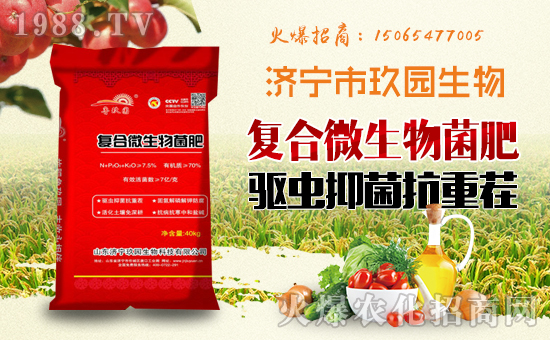 �����@�����ף����´��옷���Ҹ�������