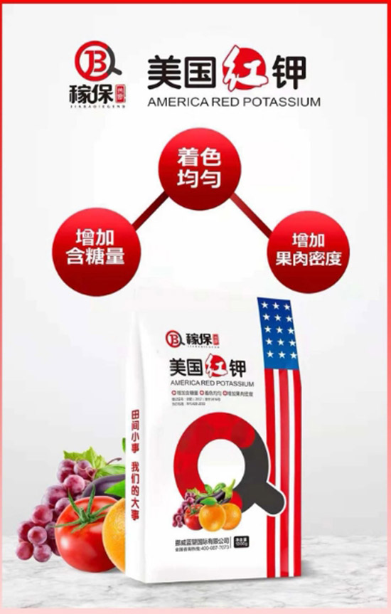 ��Ų���{(l��n)����ףȫ�����ѹ������������������