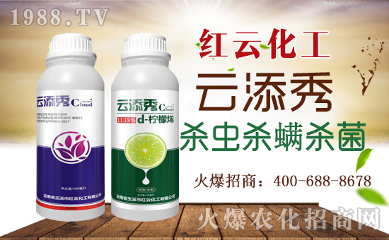 ���t�ƻ�����ף���ٸ��R�T�����������������´���