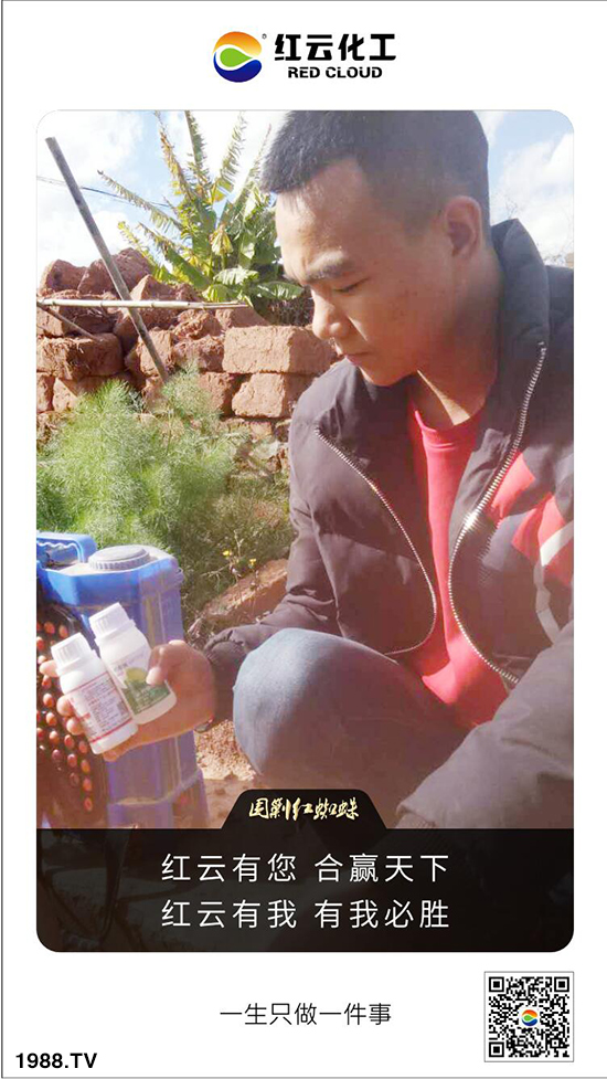 ���t�ƻ�����ף���ٸ��R�T�����������������´���