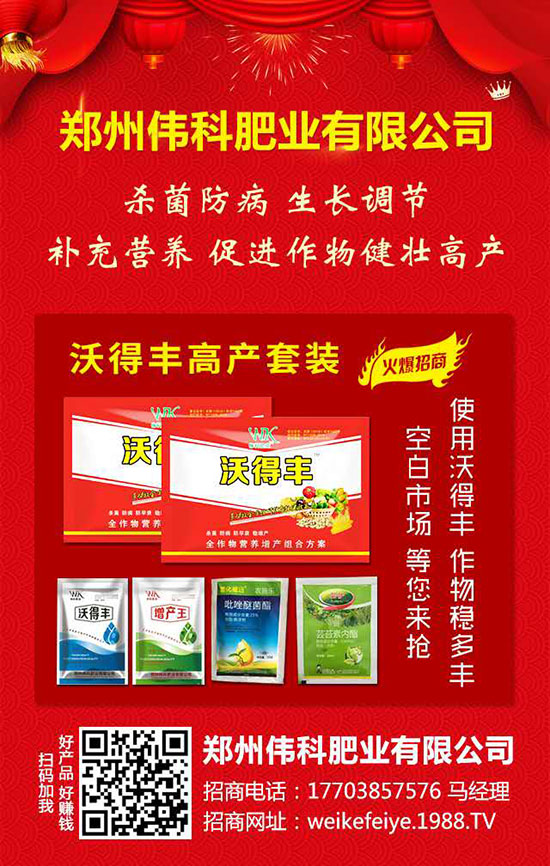     �����ƷʘI(y��)��ףȫ��(gu��)�r(n��ng)�Y��ʿ��ϲ�l(f��)ؔ(c��i)������옷(l��)��