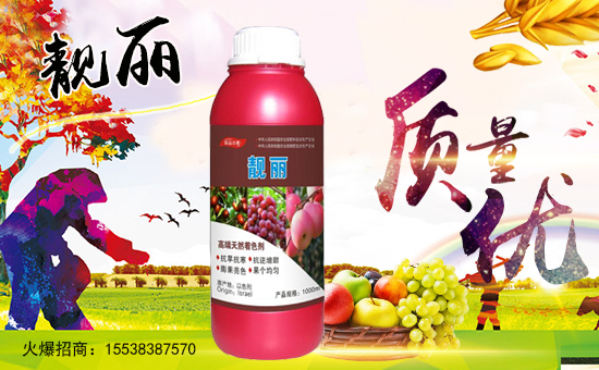 �����ϼ�������ף��Қg�gϲϲӭ�������_�_�����^���꣡