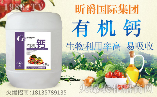 ��꿾���H��ףȫ���������w�������f��������