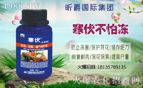 ��꿾���H��ףȫ���������w�������f��������