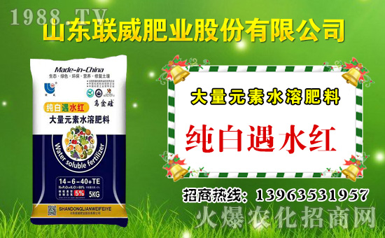 ��(li��n)���ʘI(y��)��ף������µ�һ���﹤�����������������