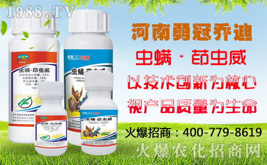 ���¹چ̵ϡ�ף������옷��ؔ�\(y��n)��ͨ��