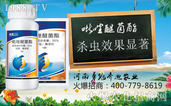 ���¹چ̵ϡ�ף������옷��ؔ�\(y��n)��ͨ��