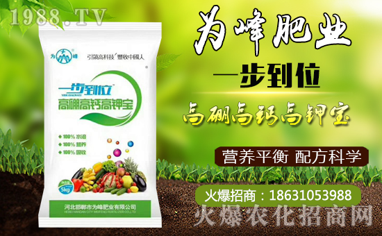     �����ʘI(y��)��ףȫ��(gu��)�������µ�һ�����Ҹ����M���H�Қg��(l��)��