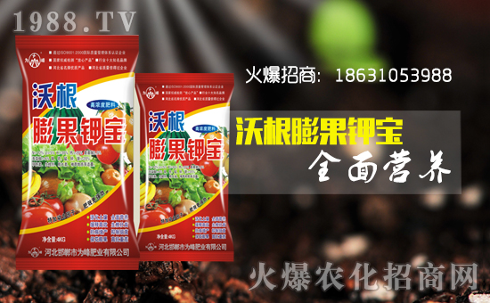     �����ʘI(y��)��ףȫ��(gu��)�������µ�һ�����Ҹ����M���H�Қg��(l��)��