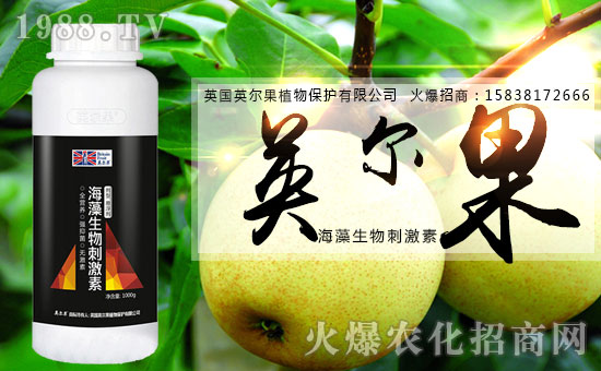 ��������̼��أ�ƿ��-Ӣ����