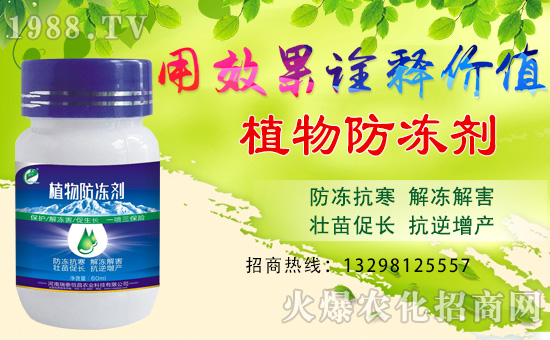     ����̩�����ȫ�w�T����ףȫ����(j��ng)�N�����w�������i�꼪����