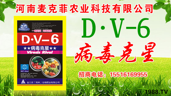 �����˷��r(n��ng)�I(y��)��ףȫ����(j��ng)�N�����w�������f�����⣡