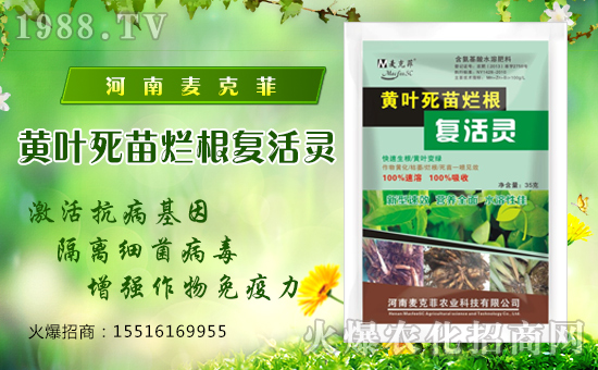 �����˷��r(n��ng)�I(y��)��ףȫ����(j��ng)�N�����w�������f��������