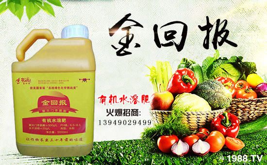     ����؈��r(n��ng)�I(y��)��ף������µ�һ�������w�����������³����f��������