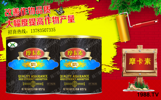 ����(qi��ng)о��(gu��)�H��ף������µ�һ�������w���������������