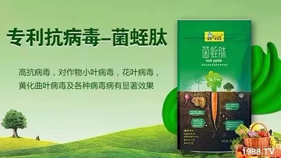 【激抗菌肥料廠】全體員工祝大家吉祥發(fā)財,心想事成!