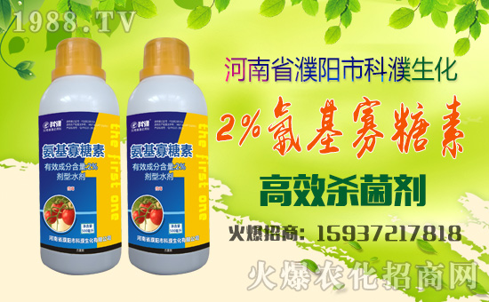 �����������ף������µ�һ���﹤�����������������