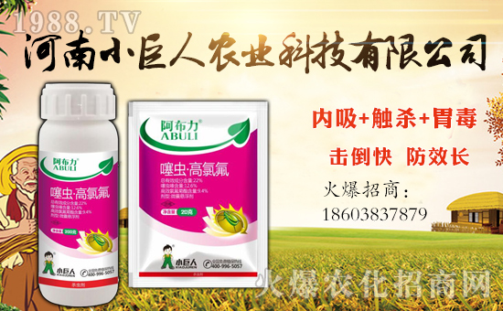 ��С�����r(n��ng)�I(y��)��ף������µ�һ�������w�����������³����f��������