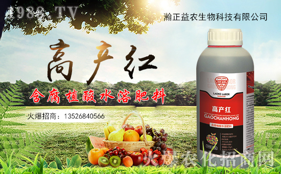 ��������r(n��ng)��ף������µ�һ���������d¡���f��������