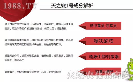 �����ϝM��t��ף������µ�һ���﹤�����������������