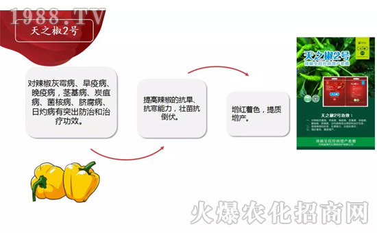 �����ϝM��t��ף������µ�һ���﹤�����������������