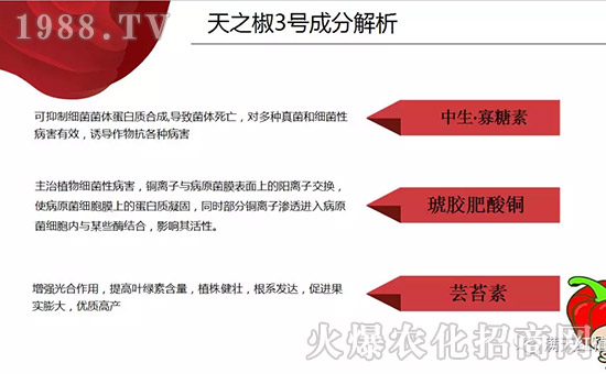 �����ϝM��t��ף������µ�һ���﹤�����������������