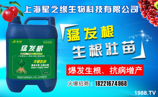 ����֮������ף����´��옷�����w�������H���Ҹ����f��������