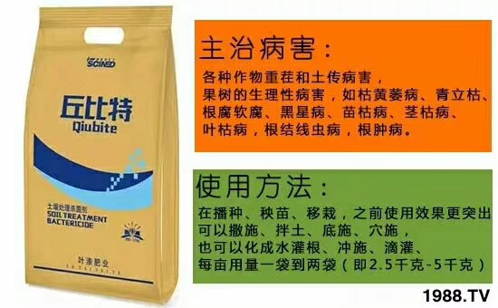 ��ʩ���_����ף������w�������H���Ҹ����i�����