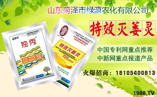     �ڴ�������R֮�H��ɽ�|�ʝ��оGԴ�r�����޹�˾ȫ�w�T��ף�����g�gϲϲӭ�i�꣬�f������ƽ�������Pü����������I(y��)�ɹ��x���꣬�ϼҚg���Ҹ��������w�����f�f�������