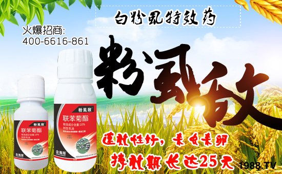 �����˹�r(n��ng)�I(y��)��ףȫ��(gu��)�������w�������f(w��n)��������