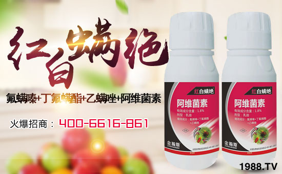 �����˹�r(n��ng)�I(y��)��ףȫ��(gu��)�������w�������f(w��n)��������