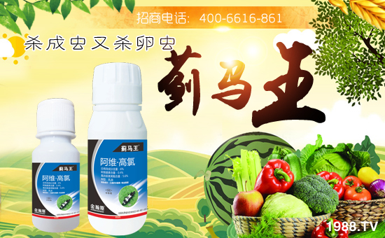 �����˹�r(n��ng)�I(y��)��ףȫ��(gu��)�������w�������f(w��n)��������