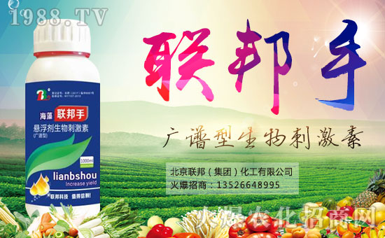 ������(li��n)�����ף�������옷(l��)�����¶����