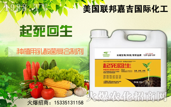 ��(li��n)��μ���ף������µ�һ���������³����f��������